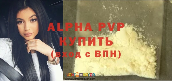 крисы Каменка