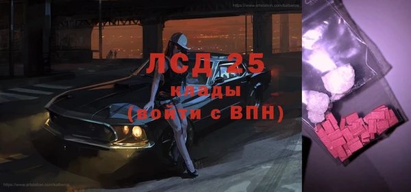 крисы Каменка