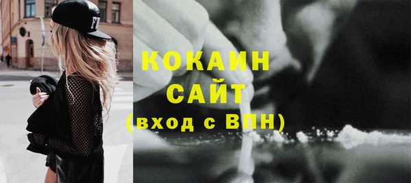 крисы Каменка