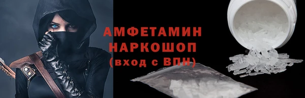 крисы Каменка