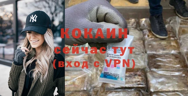крисы Каменка