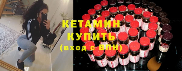 крисы Каменка
