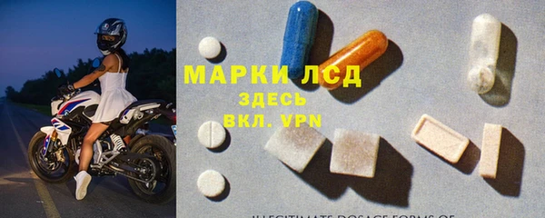 крисы Каменка