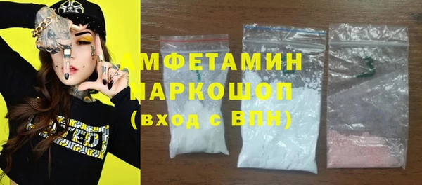 крисы Каменка