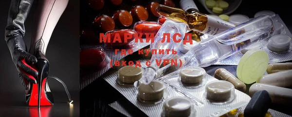 крисы Каменка